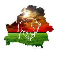 Белновости logo - Similar company to Unityfood