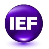 Instituto de Estudios del Futuro logo - Similar company to Exclama