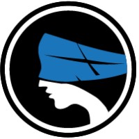 Nemesis Films logo - Similar company to Home Per Intellect (Hpi)
