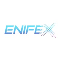 Enifex logo - Similar company to Sunil Swamy & Co.