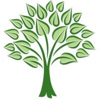 RDGM logo - Similar company to Kcg Audit Limited