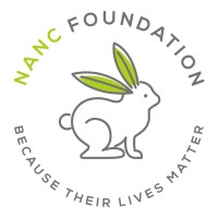 Nanc Foundation logo - Similar company to Tradersguruji Global Consultancy Pvt.Ltd