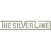 The Silver Line (Consulting Practice) logo - Similar company to Livesilver Consulting