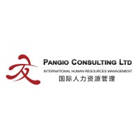 Pangio Consulting Ltd. logo - Similar company to Tom'S Aerial Vehicles Incorporated (Tav)