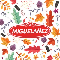 Grupo Miguelanez logo - Similar company to Codan, S.A.