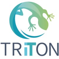 Triton-It