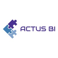 ACTUS BI logo - Similar company to Nibbio