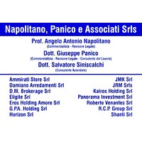 Napolitano, Panico e Associati s.r.l. logo - Similar company to Bertoli E Raimondi Commercialisti Associati Stp Srl