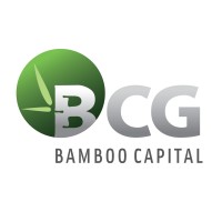 Bamboo Capital Joint Stock Company (BCG) logo - Similar company to Bảo Hiểm Aaa