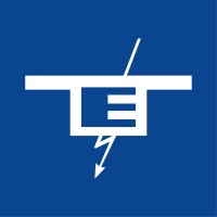 Tecno Electric Paraguay logo - Similar company to Siemi S.R.L.