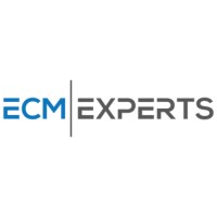 ECM Experts logo - Similar company to Ecomexperts Agency
