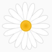 Daisy Media