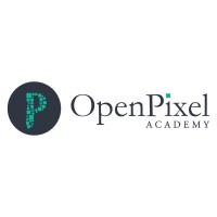 OpenPixel Academy logo - Similar company to Openpixel Web Solutions Private Limited