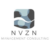 NVizion Advisory logo - Similar company to Tmt Angels