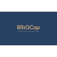 BRiQCap logo - Similar company to Paperbrain®