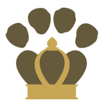Zoot Pet Hospital + Luxury Boarding logo - Similar company to Genesis Building Systems, Llc