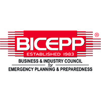 BICEPP logo - Similar company to Protagonist Consulting Group