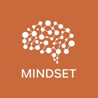 Mindset مايندست logo - Similar company to Mindset - Data, Insight, & Action