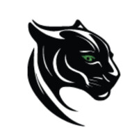 Pantheon Holding Group logo - Similar company to Oppx.Ai