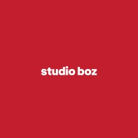 Studio Boz logo - Similar company to Neurofactor