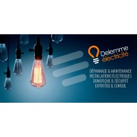DELEMME ELECTRICITE logo - Similar company to Bni Mornant Monts Du Lyonnais