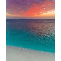 Ynet logo - Similar company to Ynet