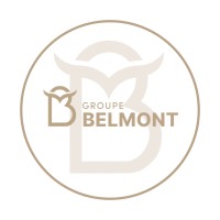 Groupe Belmont logo - Similar company to Synapse Studio