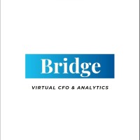 Bridge Consulting logo - Similar company to Welo-Ct Advisory