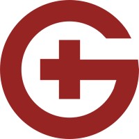 Geissler & Geissler Strategy logo - Similar company to Hase & Igel Gmbh