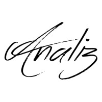 Analiz Consultancy logo - Similar company to Zeus4