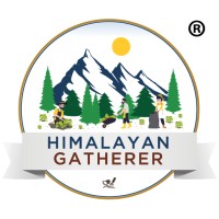 Himalayan Gatherer logo - Similar company to Misb Bocconi