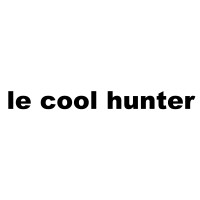 le cool hunter logo - Similar company to Cool Hunter