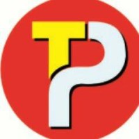 Travellers Partner logo - Similar company to Vayu Seva