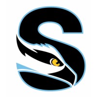 Stadium News logo - Similar company to Stadium.Business