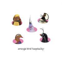 Strange Bird Hospitality logo - Similar company to Silkstone