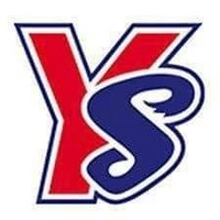 SY SERVICES logo - Similar company to Green Security