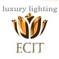 Ecit for customized lighting logo - Similar company to Custom Lighting