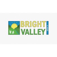Bright Valley Care Ltd logo - Similar company to Cura Workforce Solutions