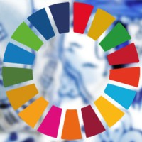 Delft4GlobalGoals logo - Similar company to Terra Foundation
