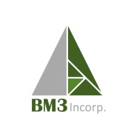 BM3 Incorporadora logo - Similar company to Engesv  Engenharia Sustentável