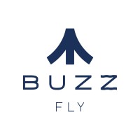 Buzz Fly logo - Similar company to Lets Fly | Alimento Que Regenera