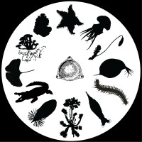 Darwin's Chronicles logo - Similar company to Master Médiacces