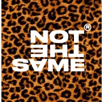 NotTheSame Colombia logo - Similar company to Webmo