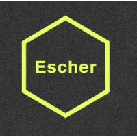 Escher Innovations logo - Similar company to Reach7 Diabetes Studios