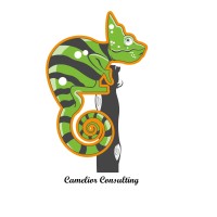 Camelior Consultancy Solutions logo - Similar company to Bt Solutions