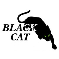 Black Cat Steel & Crane Erections logo - Similar company to Johnson Machine Works