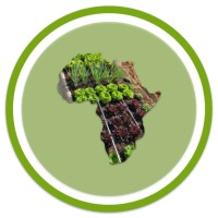 Vision 2030 Fund logo - Similar company to Mdiu
