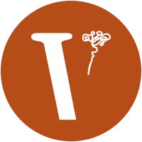 Visify, LLC logo - Similar company to Vizify