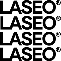 LASEO logo - Similar company to Prospectbase