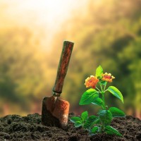 Superior Landscapes logo - Similar company to Elaw